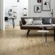 loft quartiere vecchie case abbandonate Havre 69,vecchie case abbandonate,loft